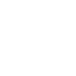 Vector-11.png
